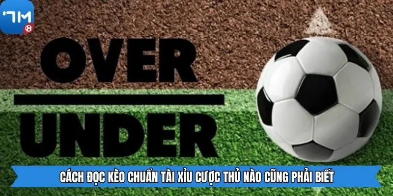 Cách đọc kèo chuẩn tài xỉu cược thủ nào cũng phải biết