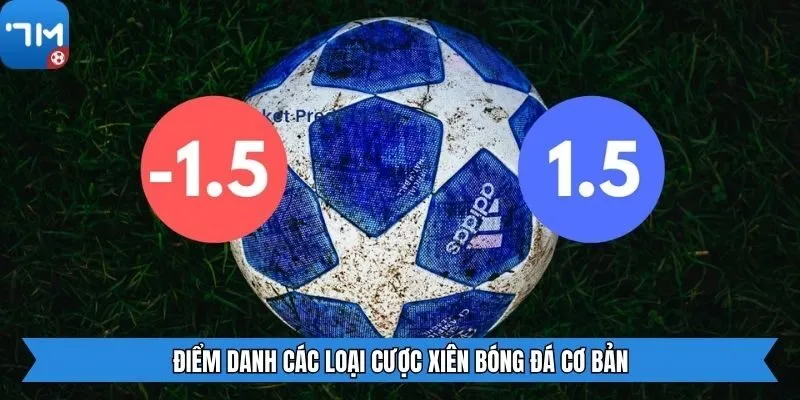 Điểm danh các loại cược xiên bóng đá cơ bản