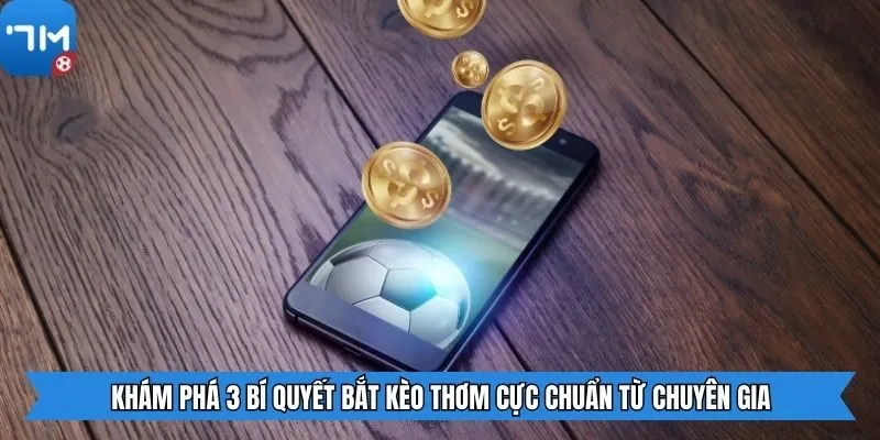 Khám phá 3 bí quyết bắt kèo thơm cực chuẩn từ chuyên gia